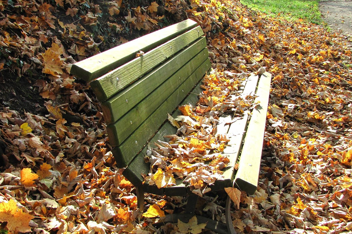 bank herbst