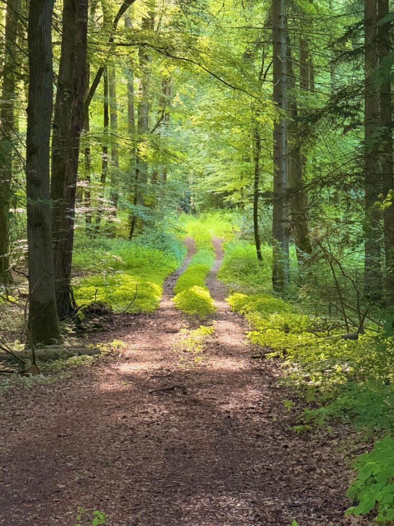 Wald